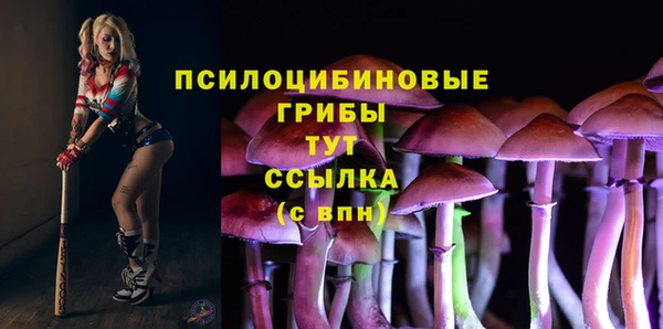 мяу мяу мука Покров