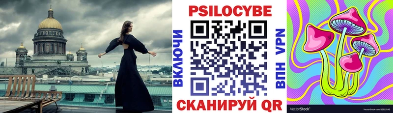 Купить закладки  Сортавала  Псилоцибиновые грибы мицелий
